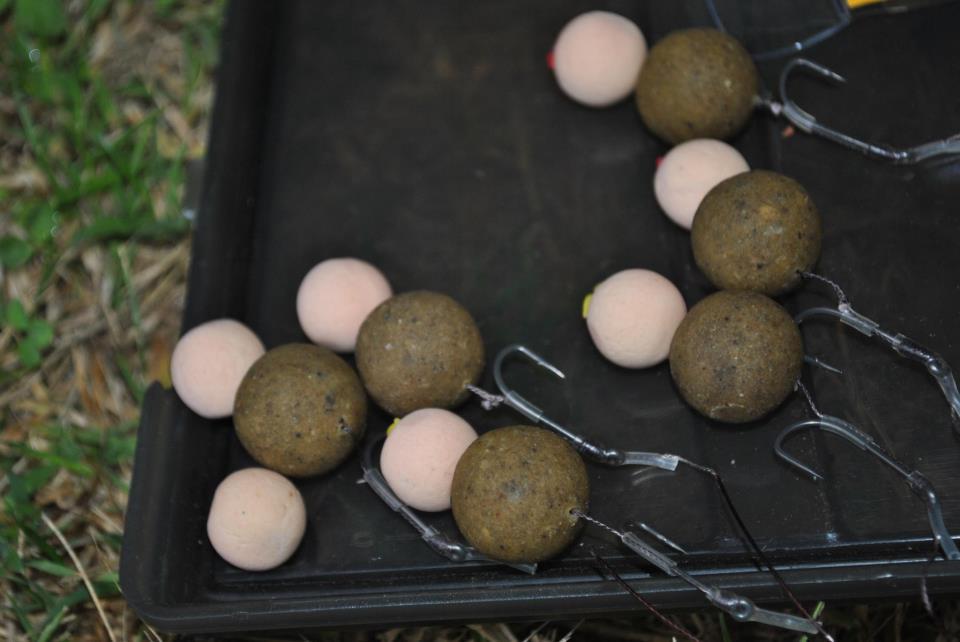 Diverse - 386649530422290309950277053236n.jpg